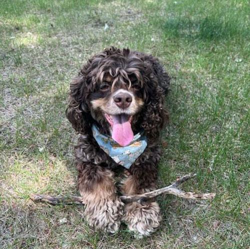 Marley Pierik Head of HR
